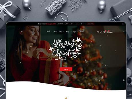 Ecommerce
