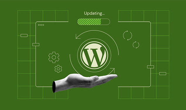 Custom Web Design